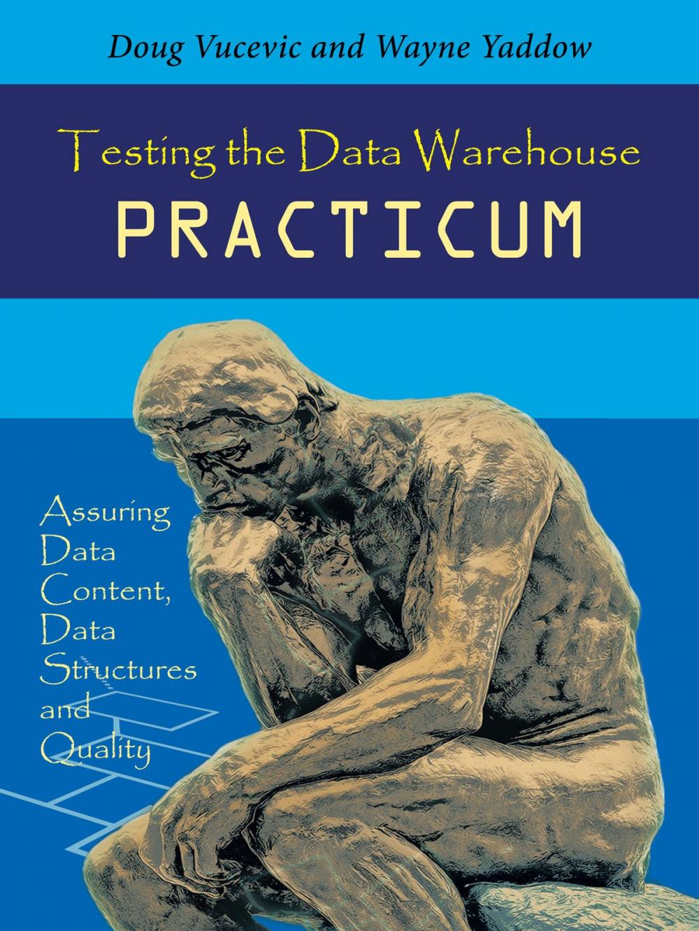 Big bigCover of Testing the Data Warehouse Practicum