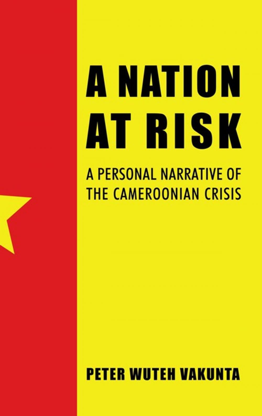 Big bigCover of A Nation at Risk