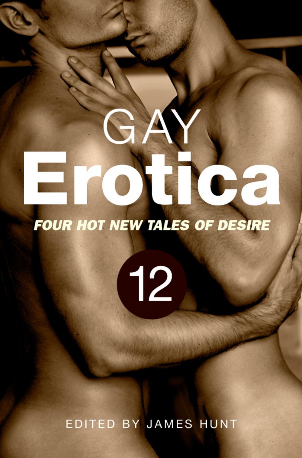 Big bigCover of Gay Erotica, Volume 12