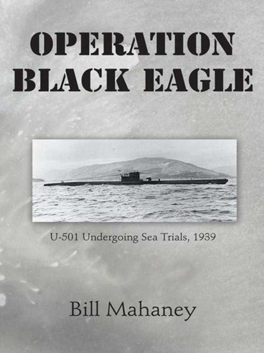 Big bigCover of Operation Black Eagle