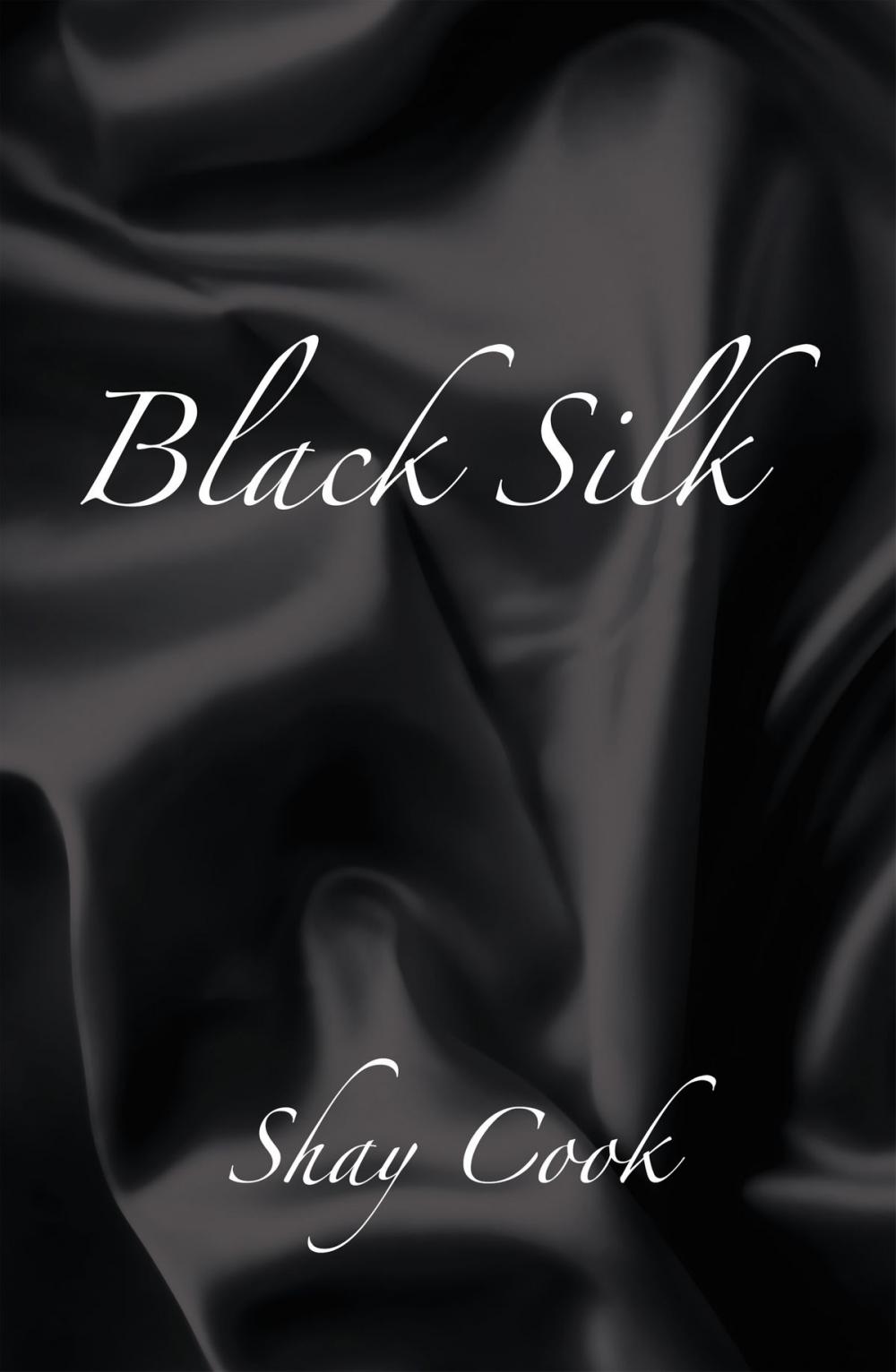 Big bigCover of Black Silk