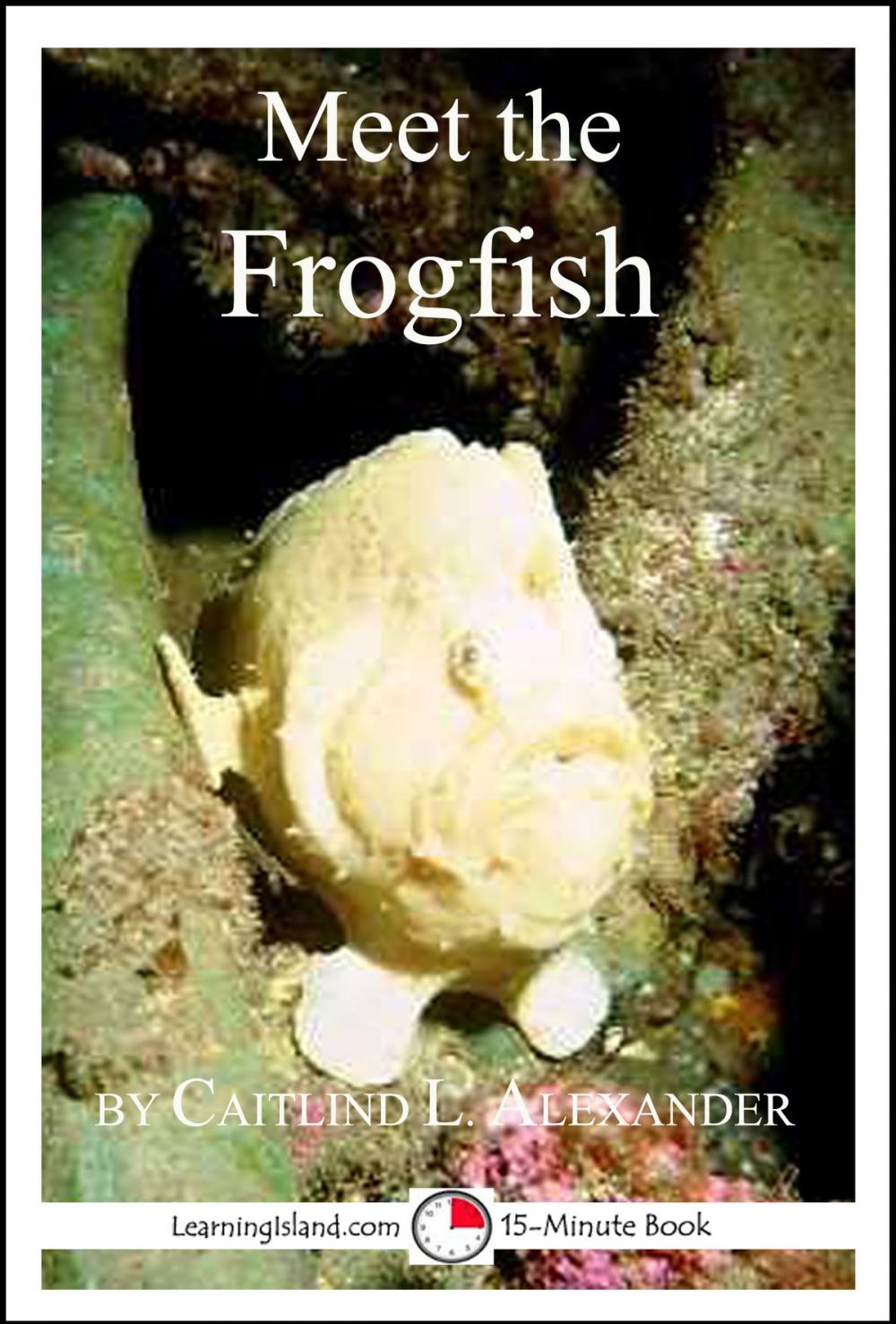 Big bigCover of Meet the Frogfish: A 15-Minute Book for Early Readers