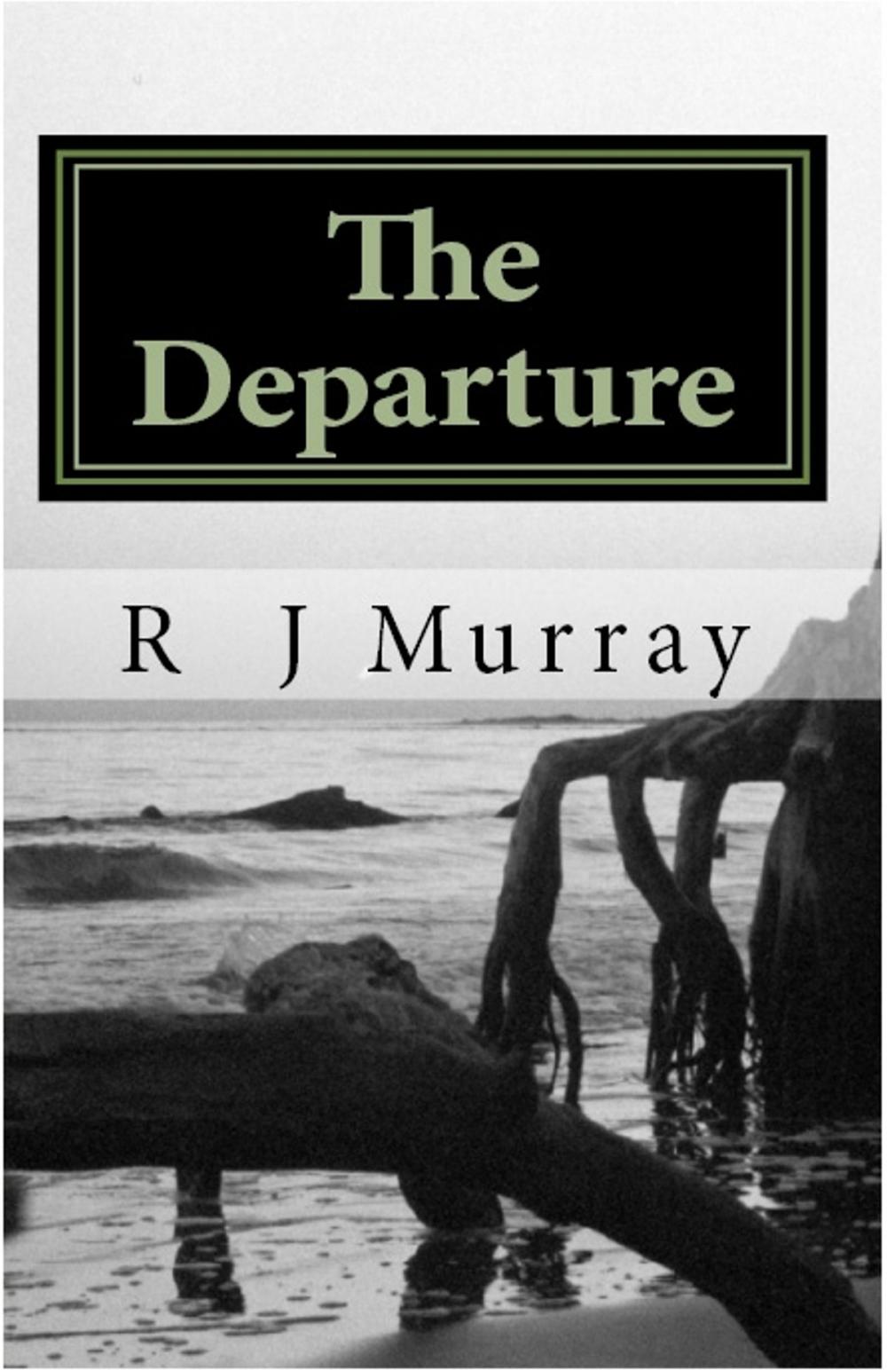 Big bigCover of The Departure: Tales of the Triad, Book Three