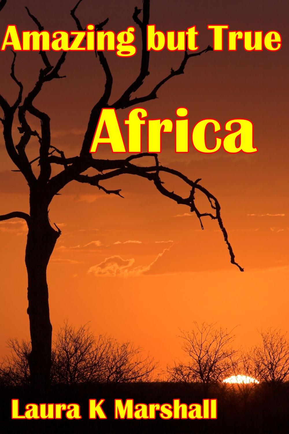 Big bigCover of Amazing but True: Africa Adventure Book 1