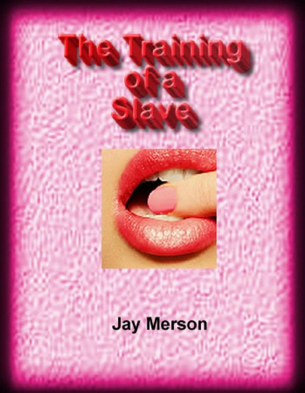 Big bigCover of The Training of a Slave (BDSM erotica)