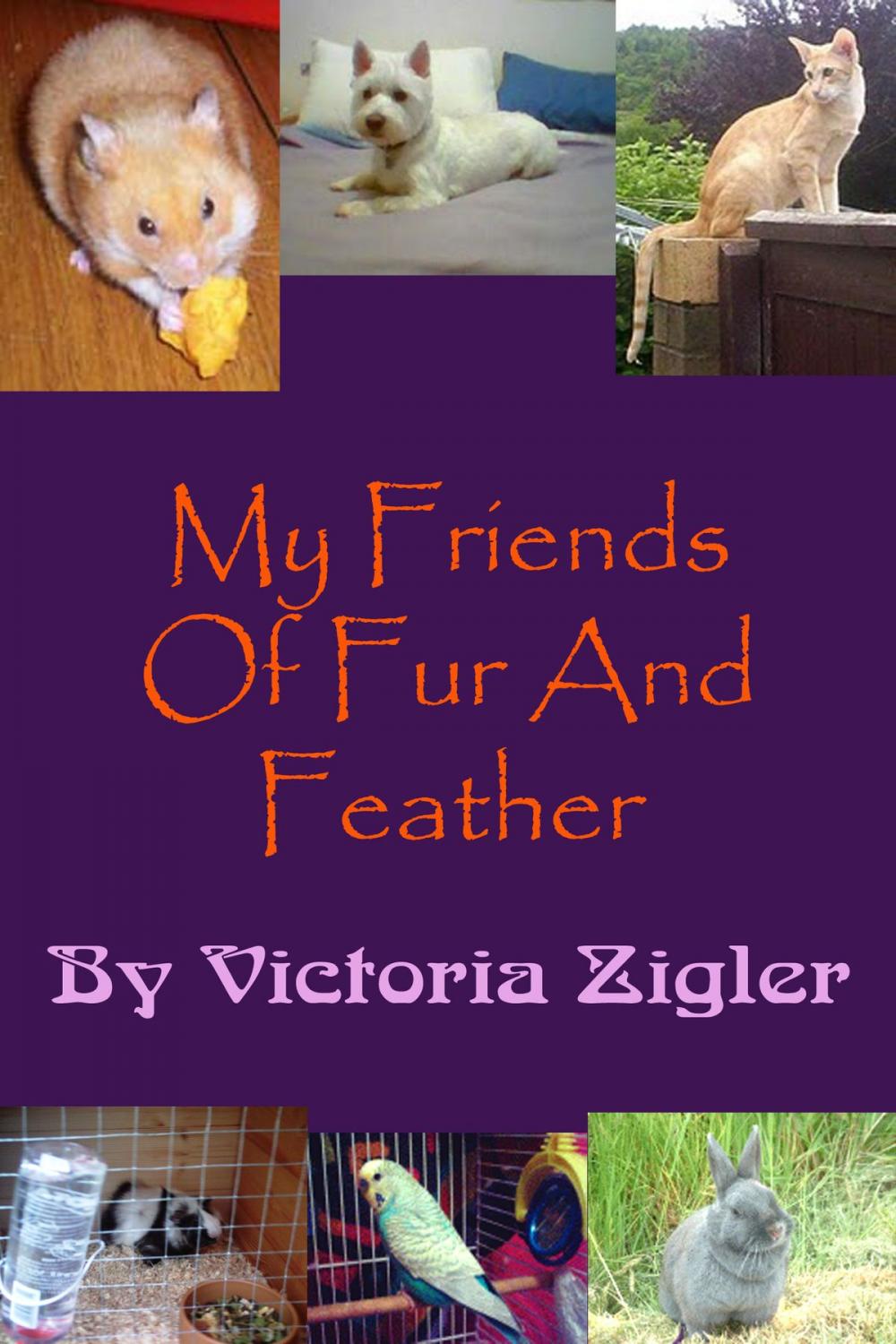 Big bigCover of My Friends Of Fur And Feather