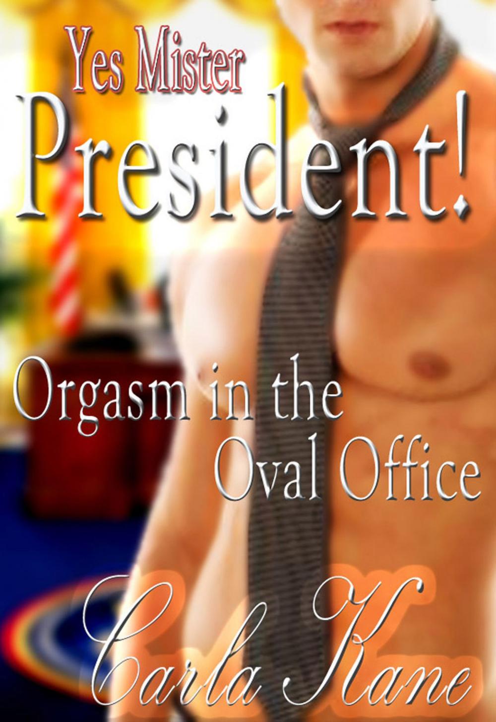 Big bigCover of Yes Mister President! Orgasm in the Oval Office