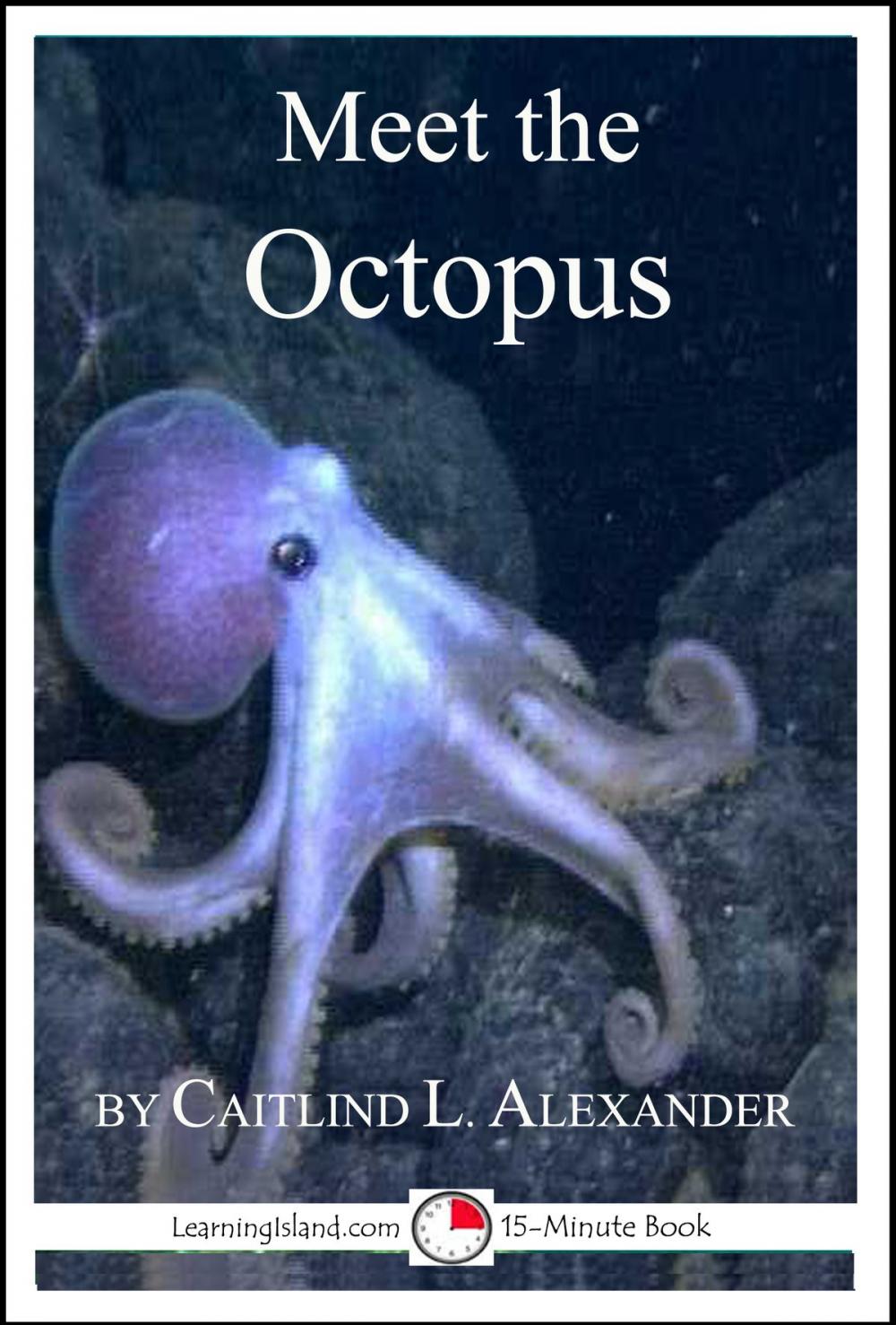 Big bigCover of Meet the Octopus: A 15-Minute Book for Early Readers