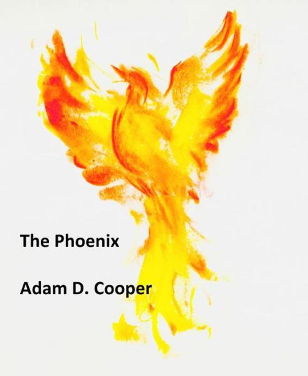 Big bigCover of The Phoenix