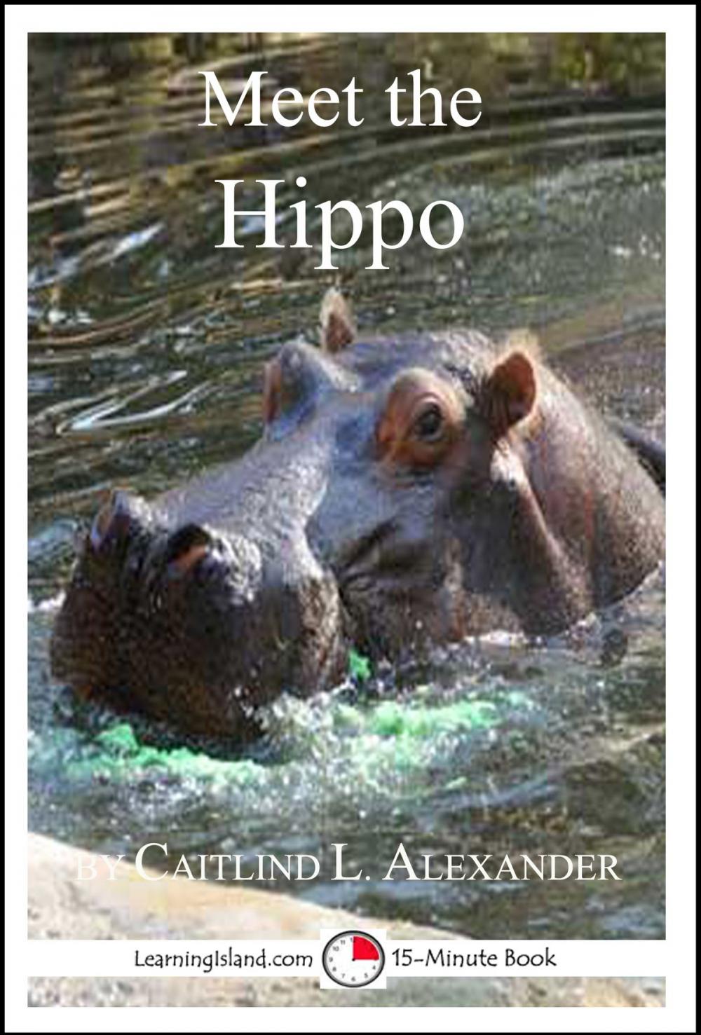 Big bigCover of Meet the Hippo: A 15-Minute Book for Early Readers