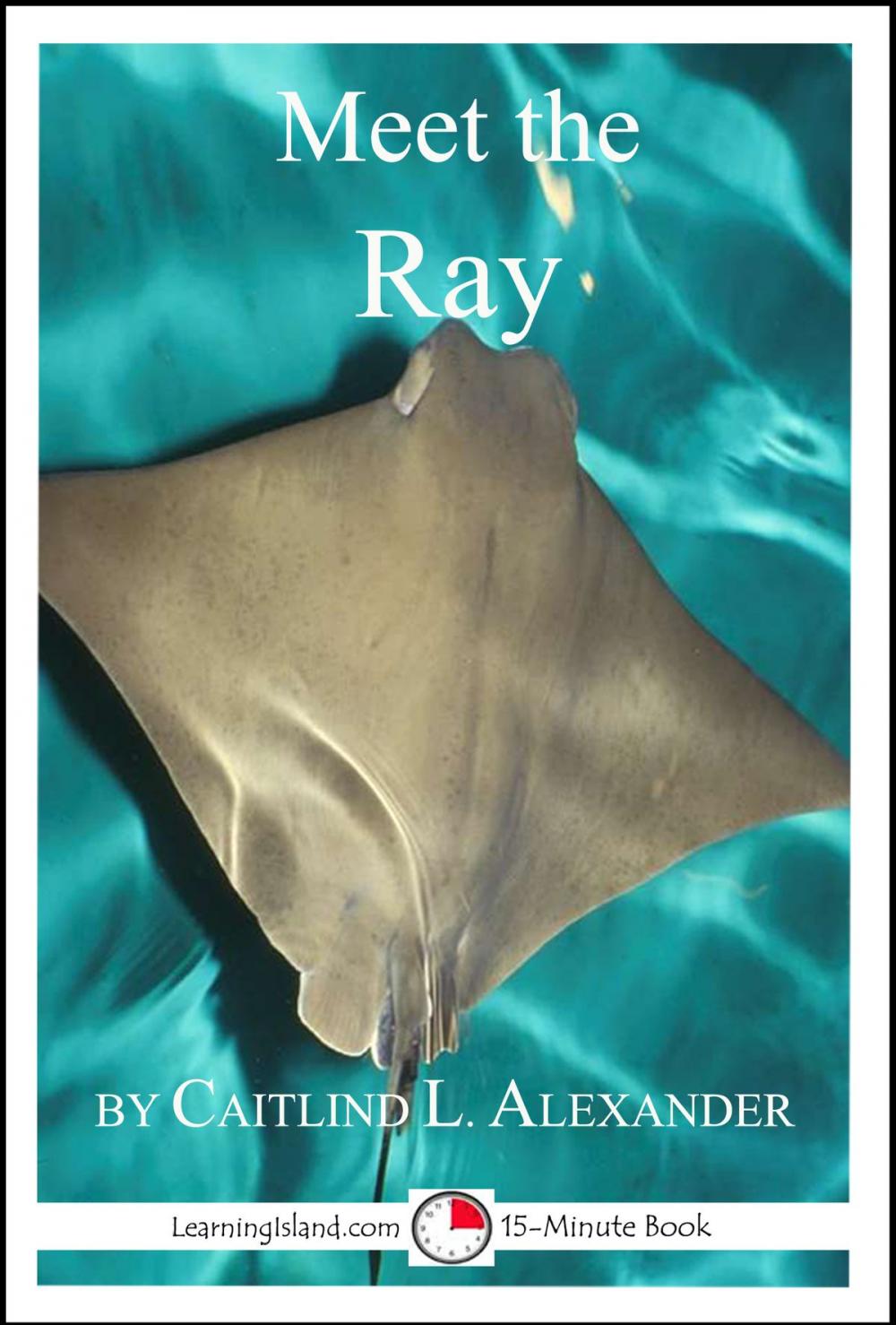 Big bigCover of Meet the Ray: A 15-Minute Book for Early Readers