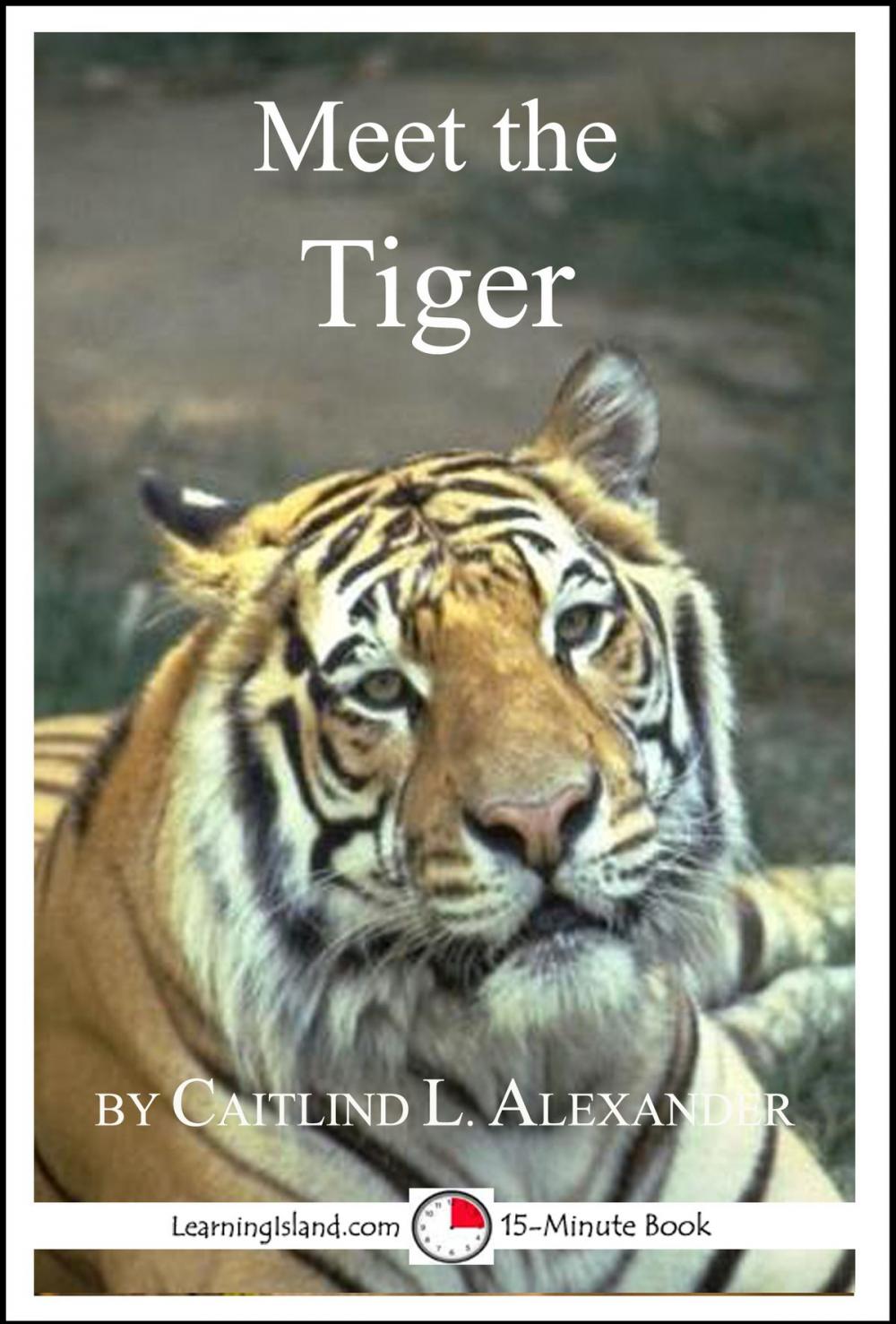 Big bigCover of Meet the Tiger: A 15-Minute Book for Early Readers