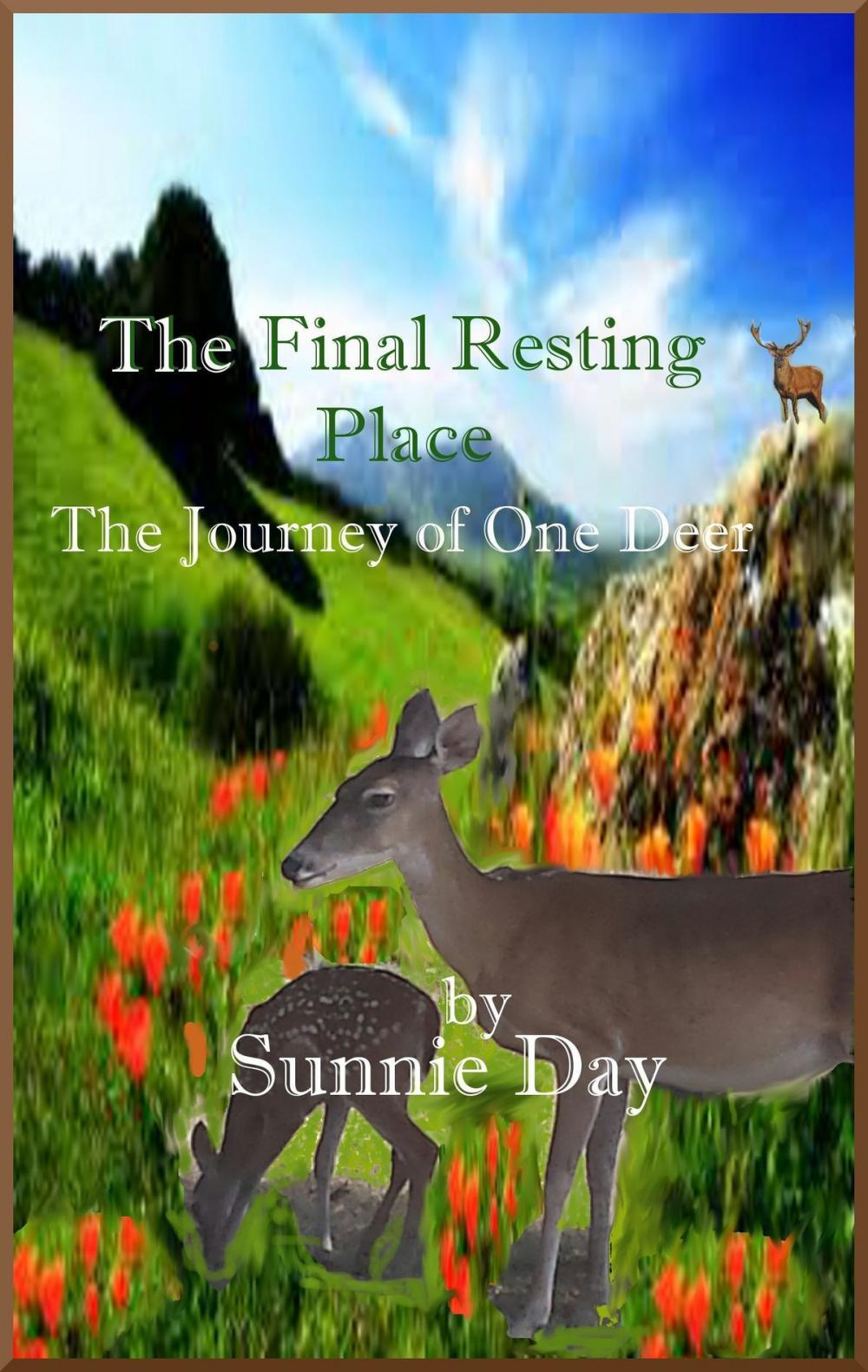 Big bigCover of The Final Resting Place:The Journey of One Deer