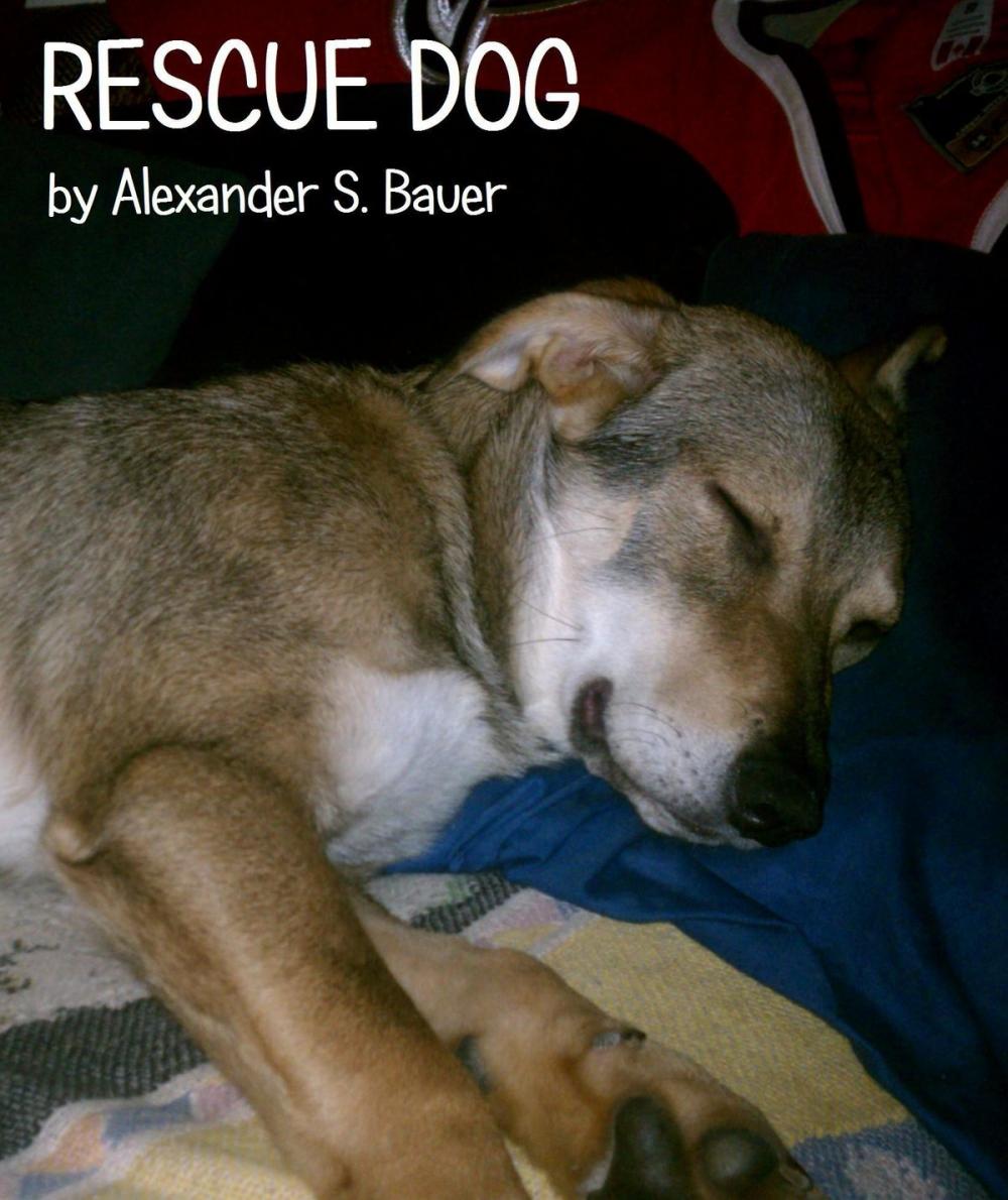 Big bigCover of Rescue Dog