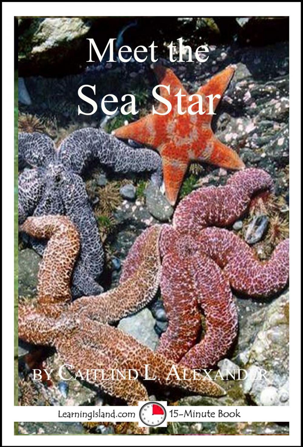 Big bigCover of Meet the Sea Star: A 15-Minute Book for Early Readers