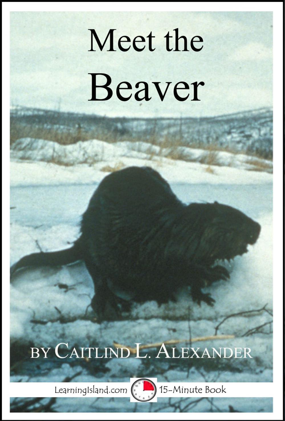 Big bigCover of Meet the Beaver: A 15-Minute Book for Early Readers