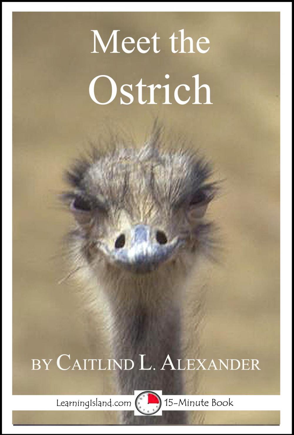 Big bigCover of Meet the Ostrich: A 15-Minute Book for Early Readers