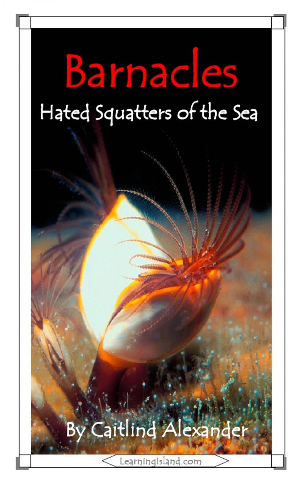 Big bigCover of Barnacles: Hated Squatters of the Sea