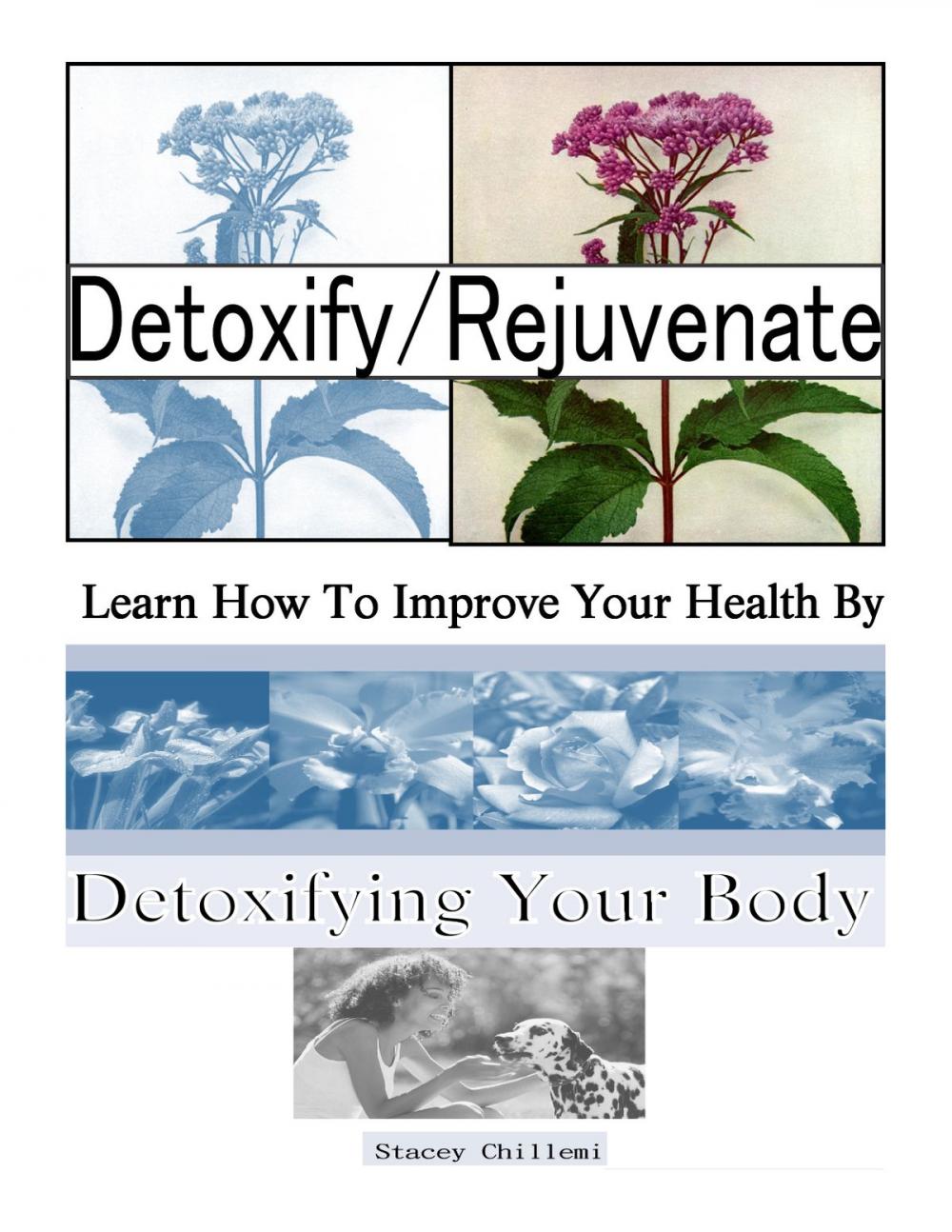 Big bigCover of Detoxify/Rejuvenate: Learn How You Can Improve Your Health By Detoxifying Your Body