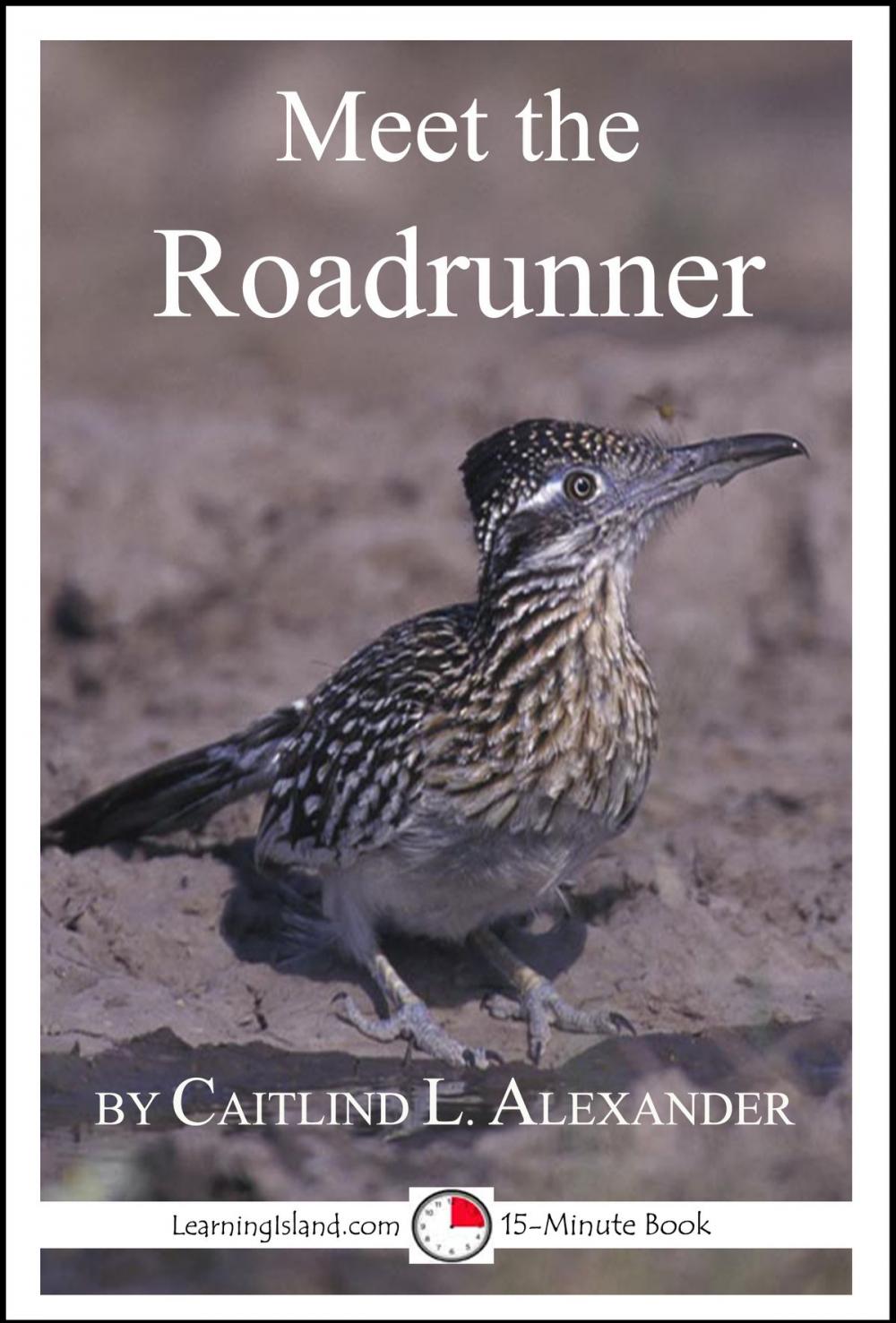 Big bigCover of Meet the Roadrunner: A 15-Minute Book for Early Readers