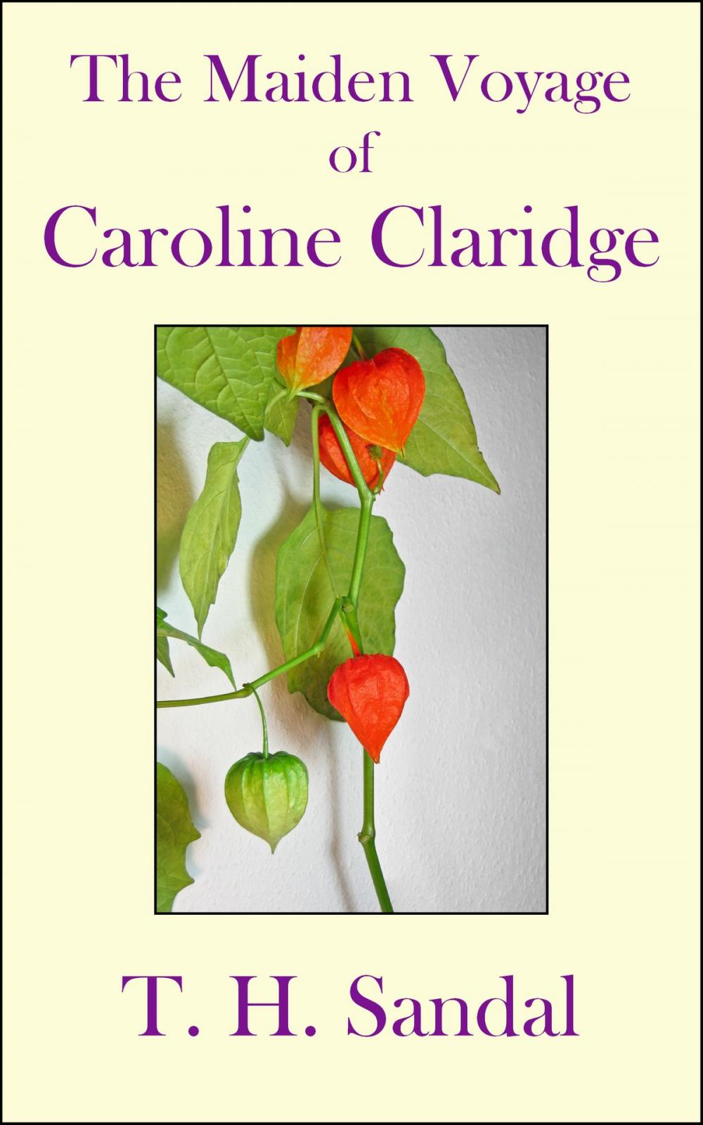 Big bigCover of The Maiden Voyage of Caroline Claridge