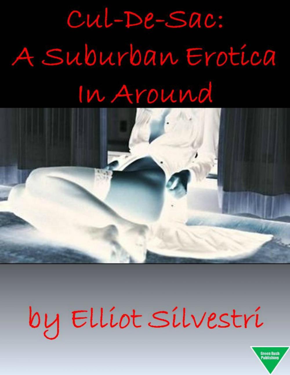 Big bigCover of Cul-De-Sac: A Suburban Erotica In Around