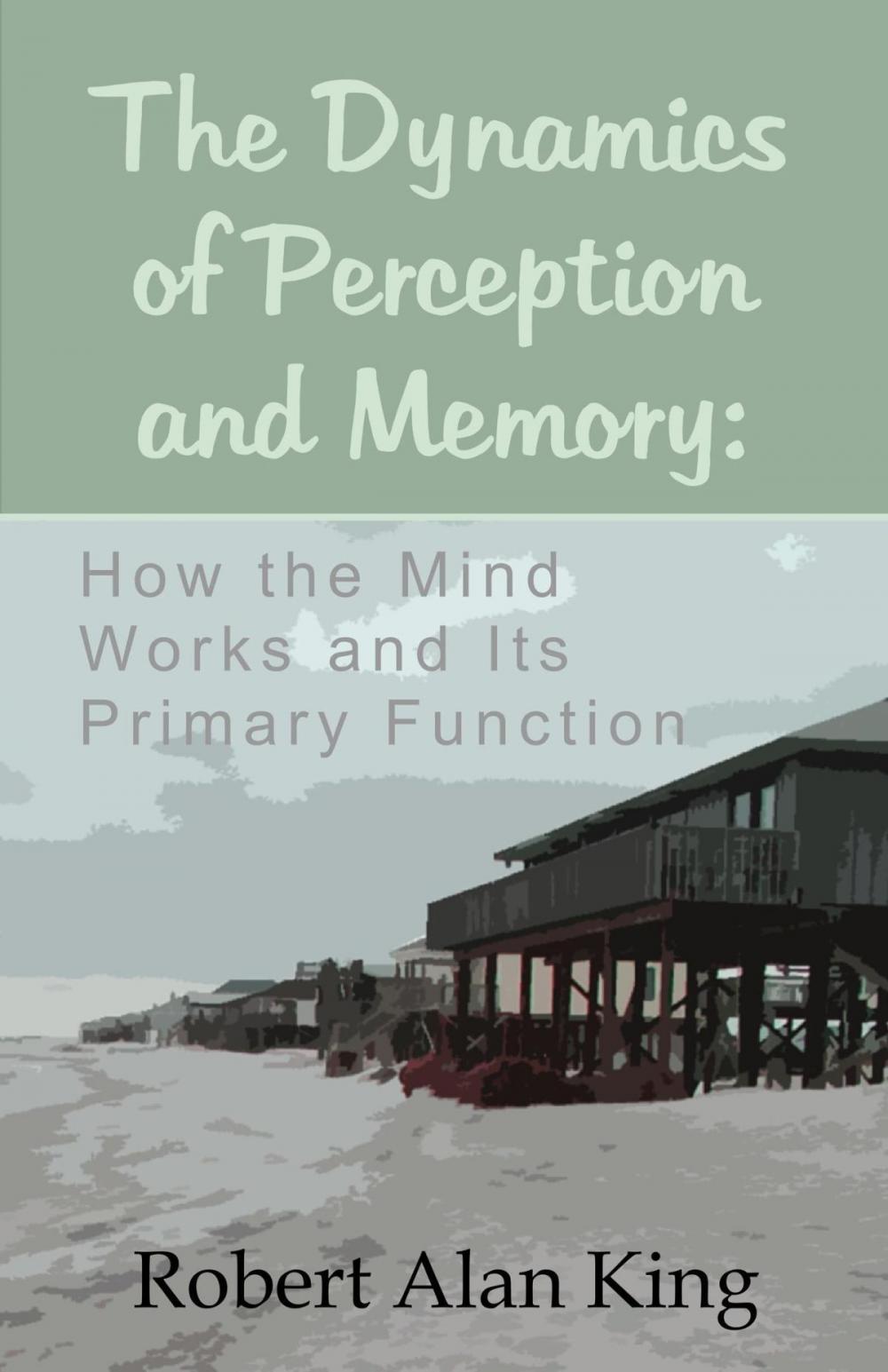 Big bigCover of The Dynamics of Perception and Memory: Why Our Mind Forgets and How to Remember Things