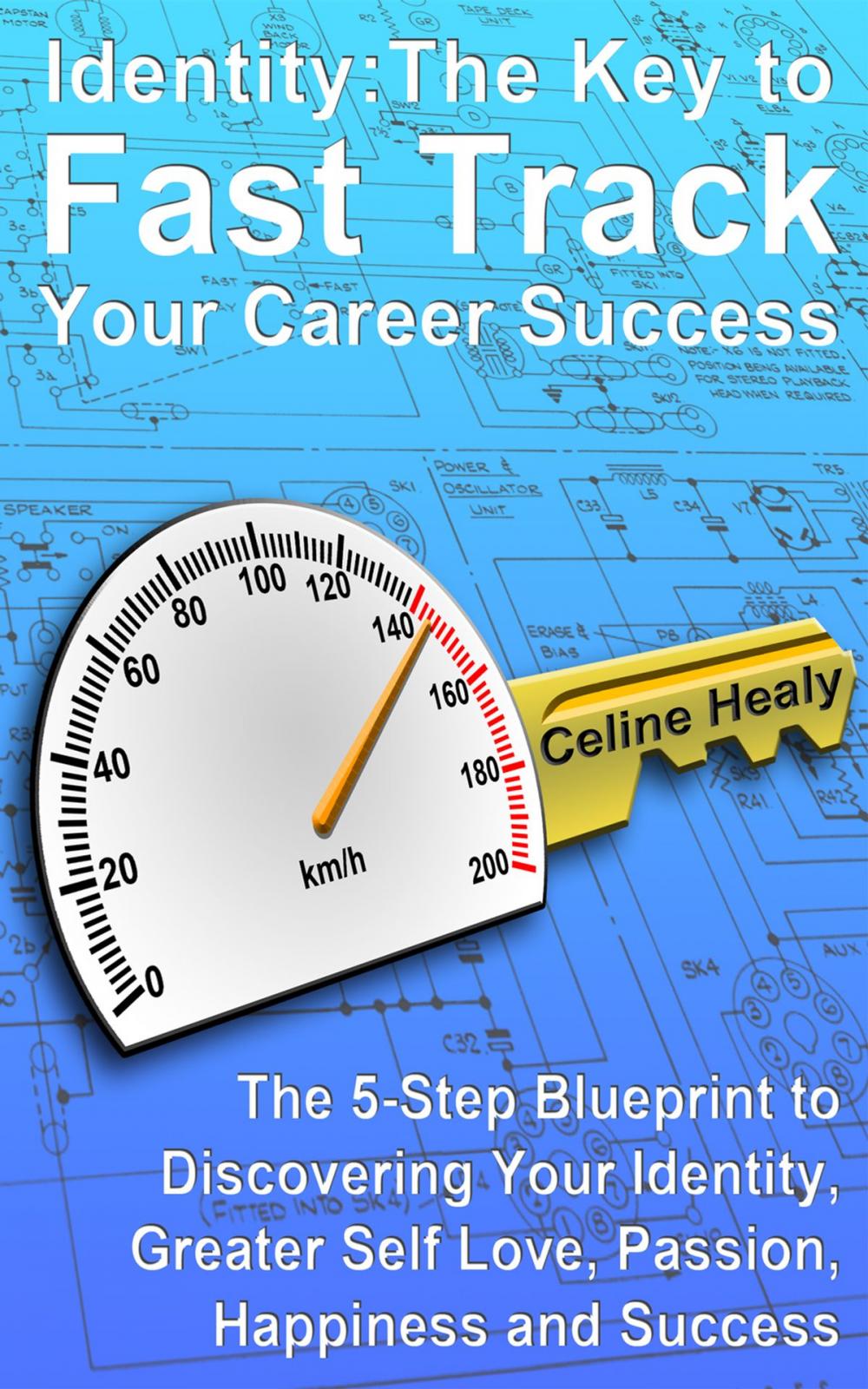 Big bigCover of Identity: The Key to Fast Track Your Career Success