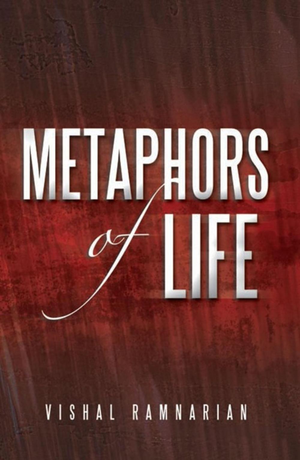 Big bigCover of Metaphors of Life