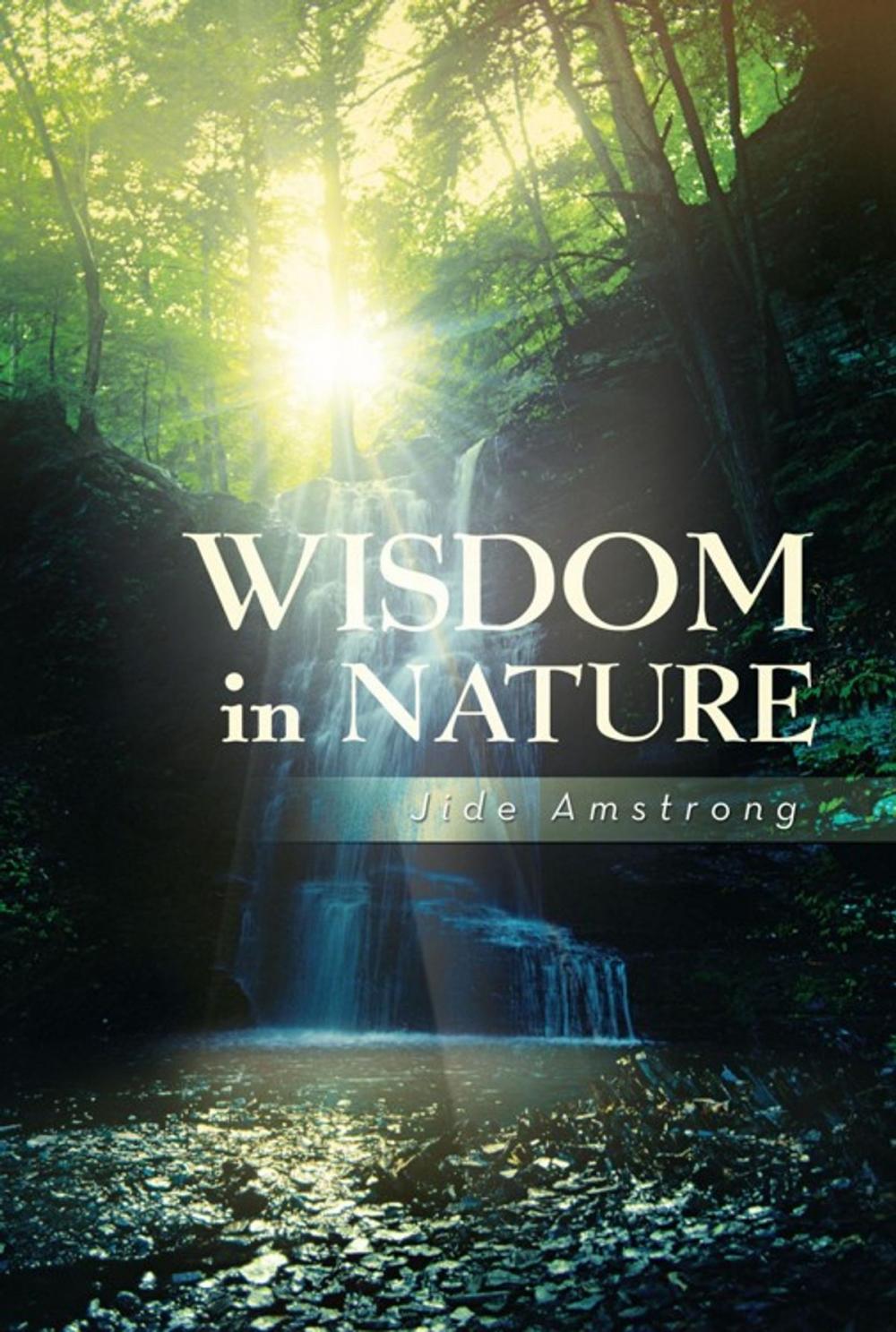 Big bigCover of Wisdom in Nature