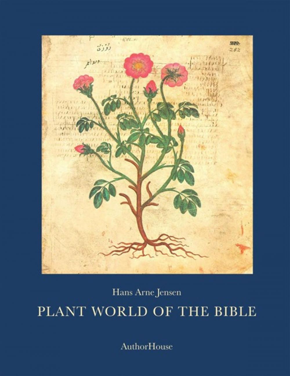 Big bigCover of Plant World of the Bible