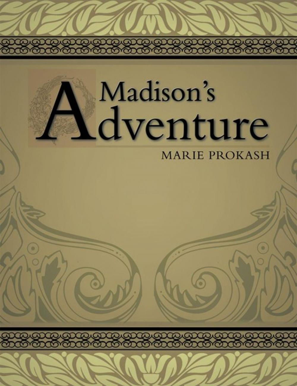 Big bigCover of Madison's Adventure