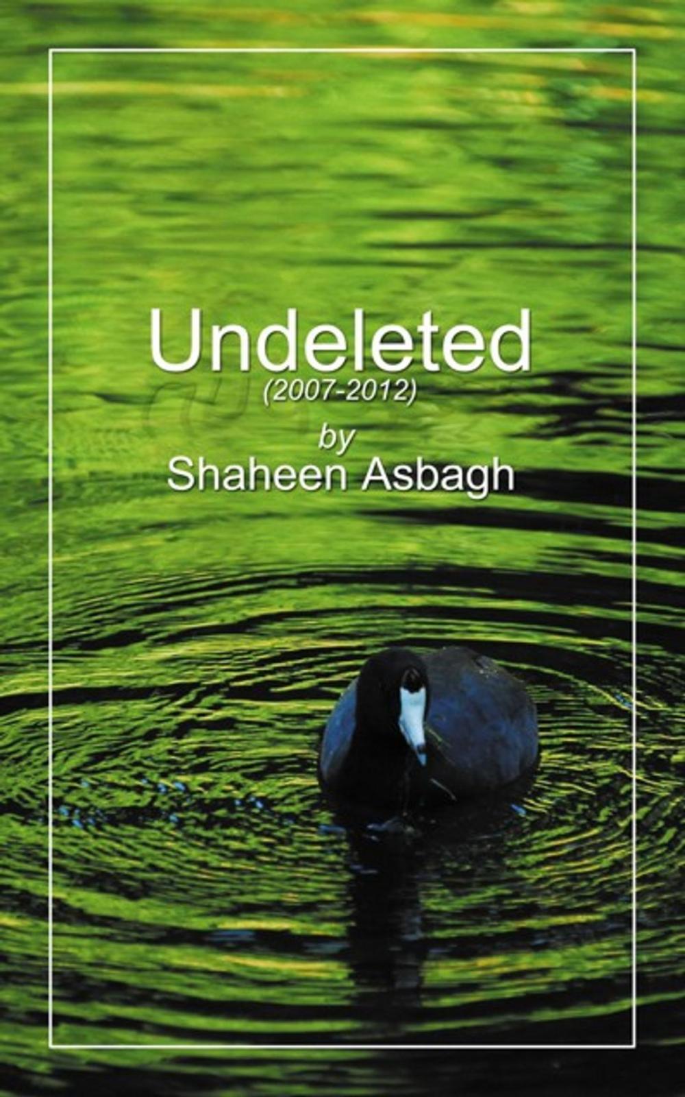 Big bigCover of Undeleted