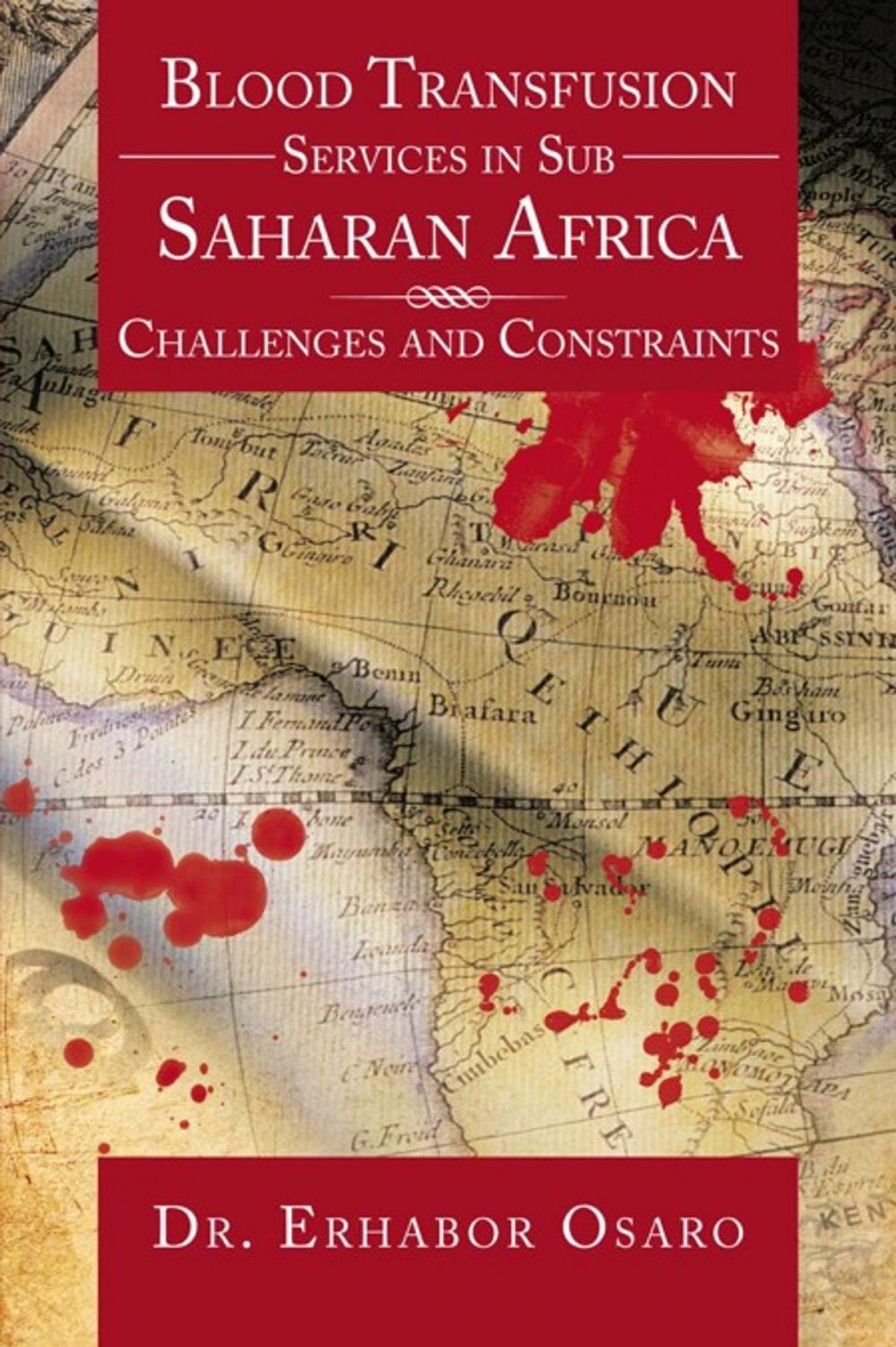 Big bigCover of Blood Transfusion Services in Sub Saharan Africa