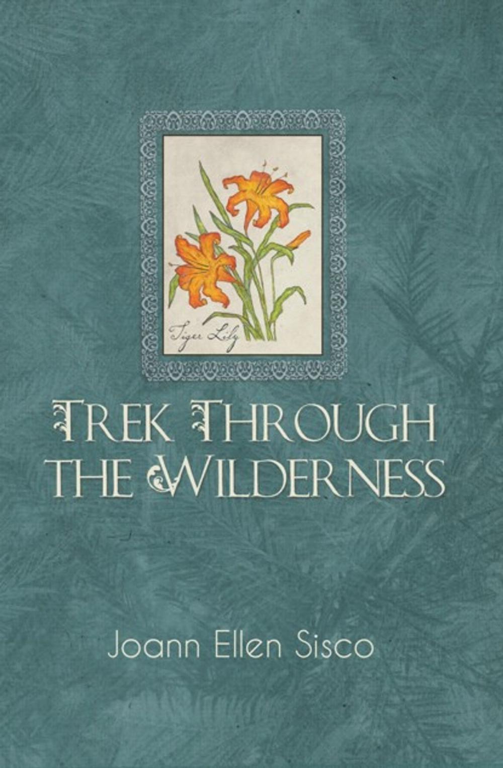 Big bigCover of Trek Through the Wilderness