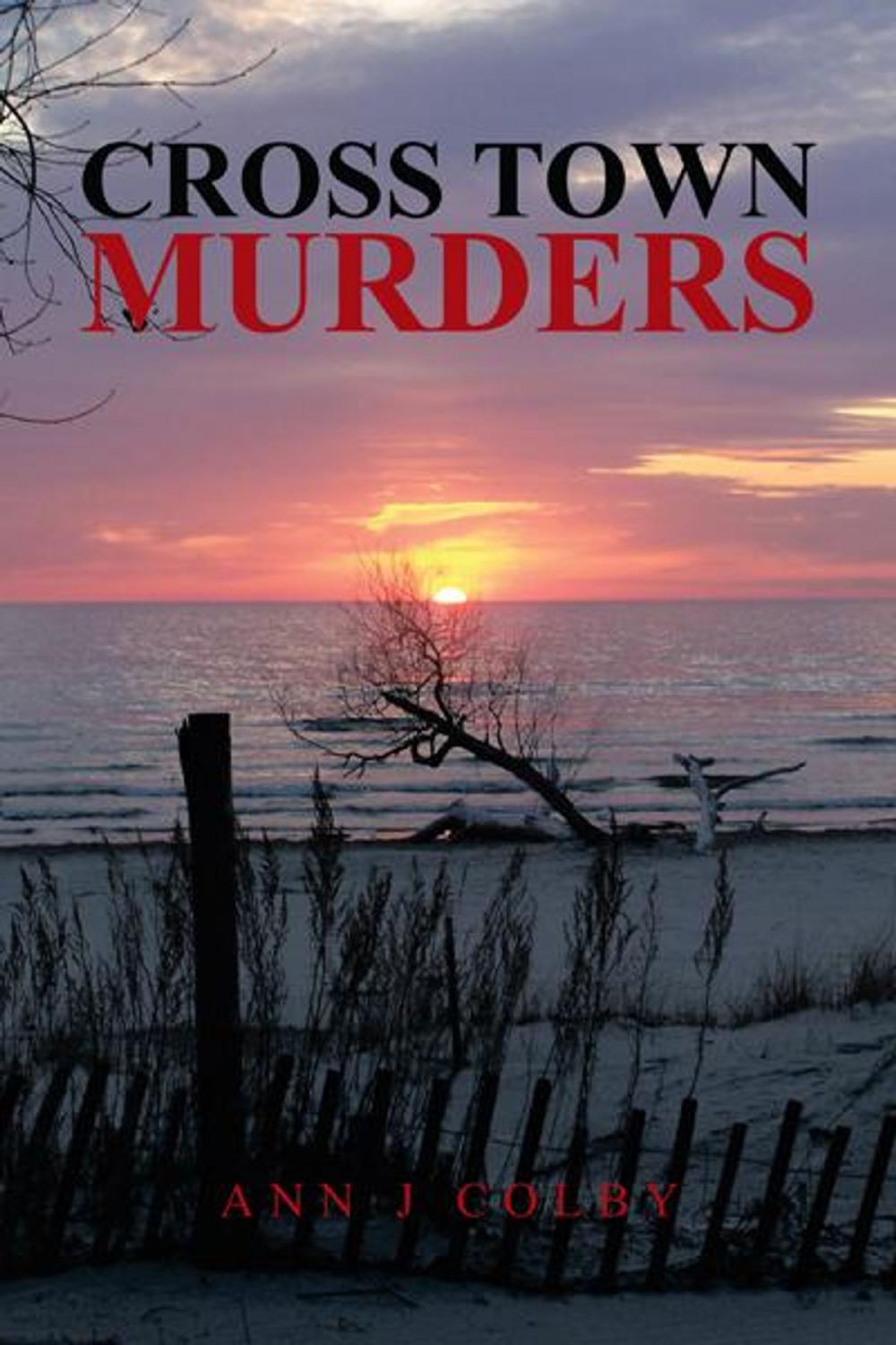 Big bigCover of Cross Town Murders