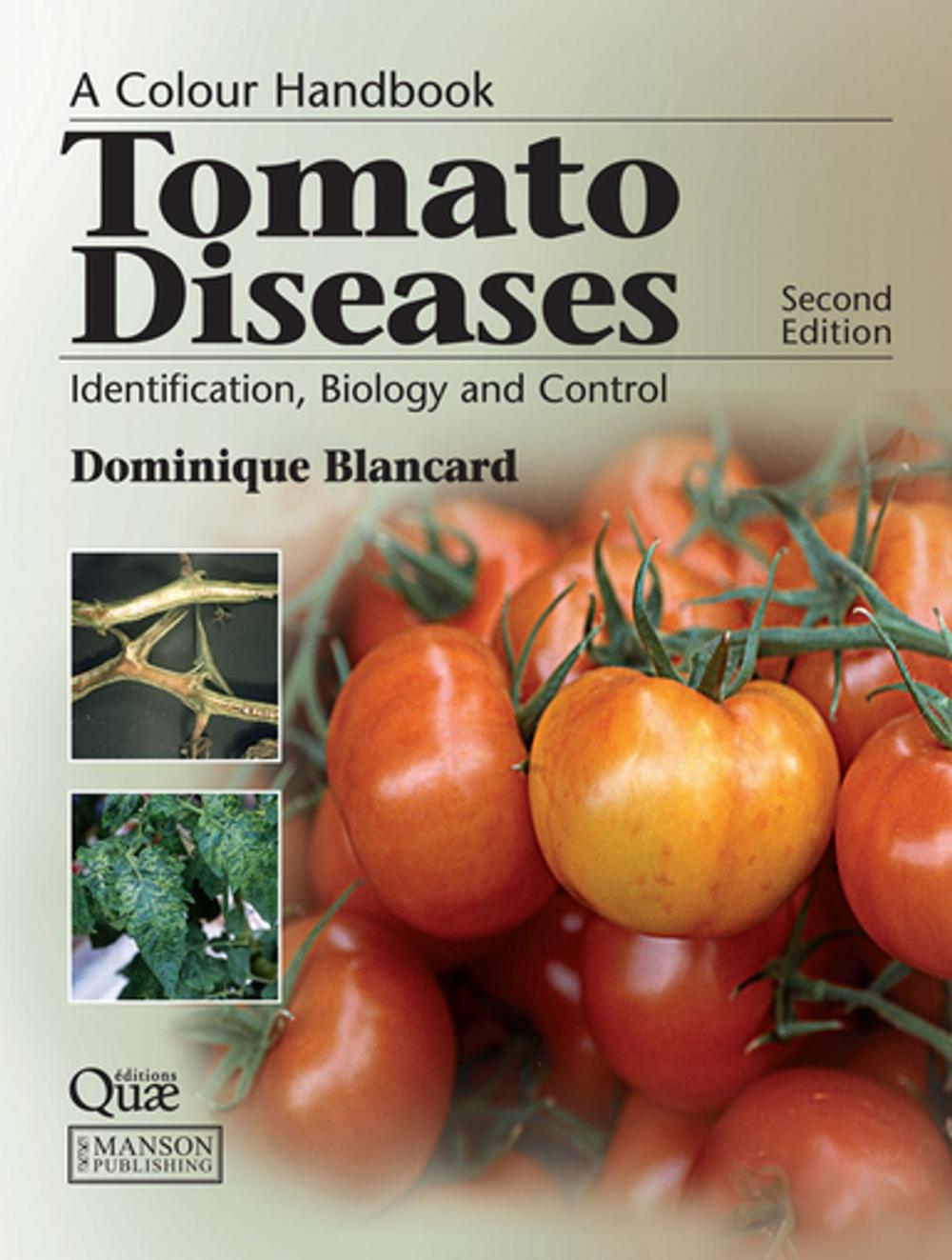 Big bigCover of Tomato Diseases