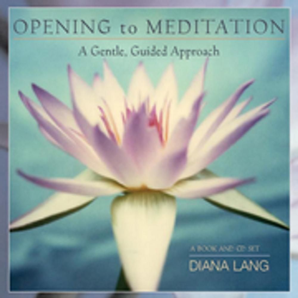 Big bigCover of Opening to Meditation