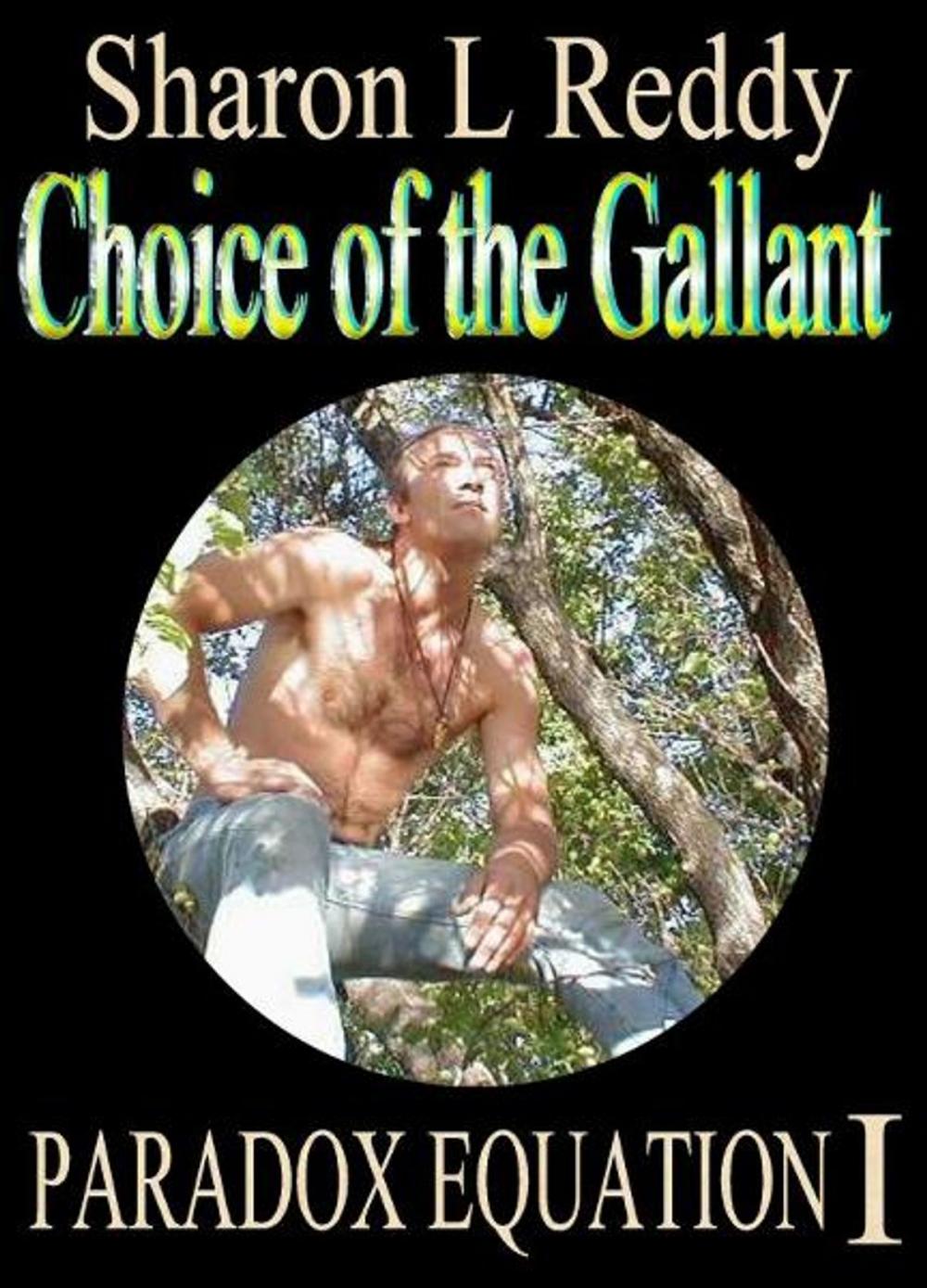 Big bigCover of Choice of the Gallant: Paradox Equation I