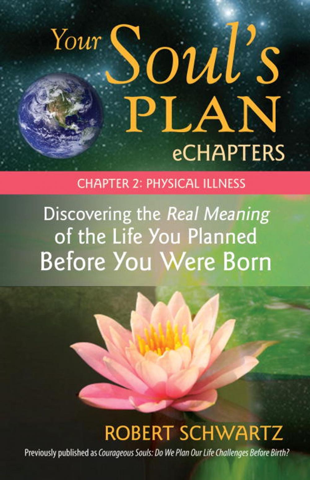 Big bigCover of Your Soul's Plan eChapters - Chapter 2: Physical Illness