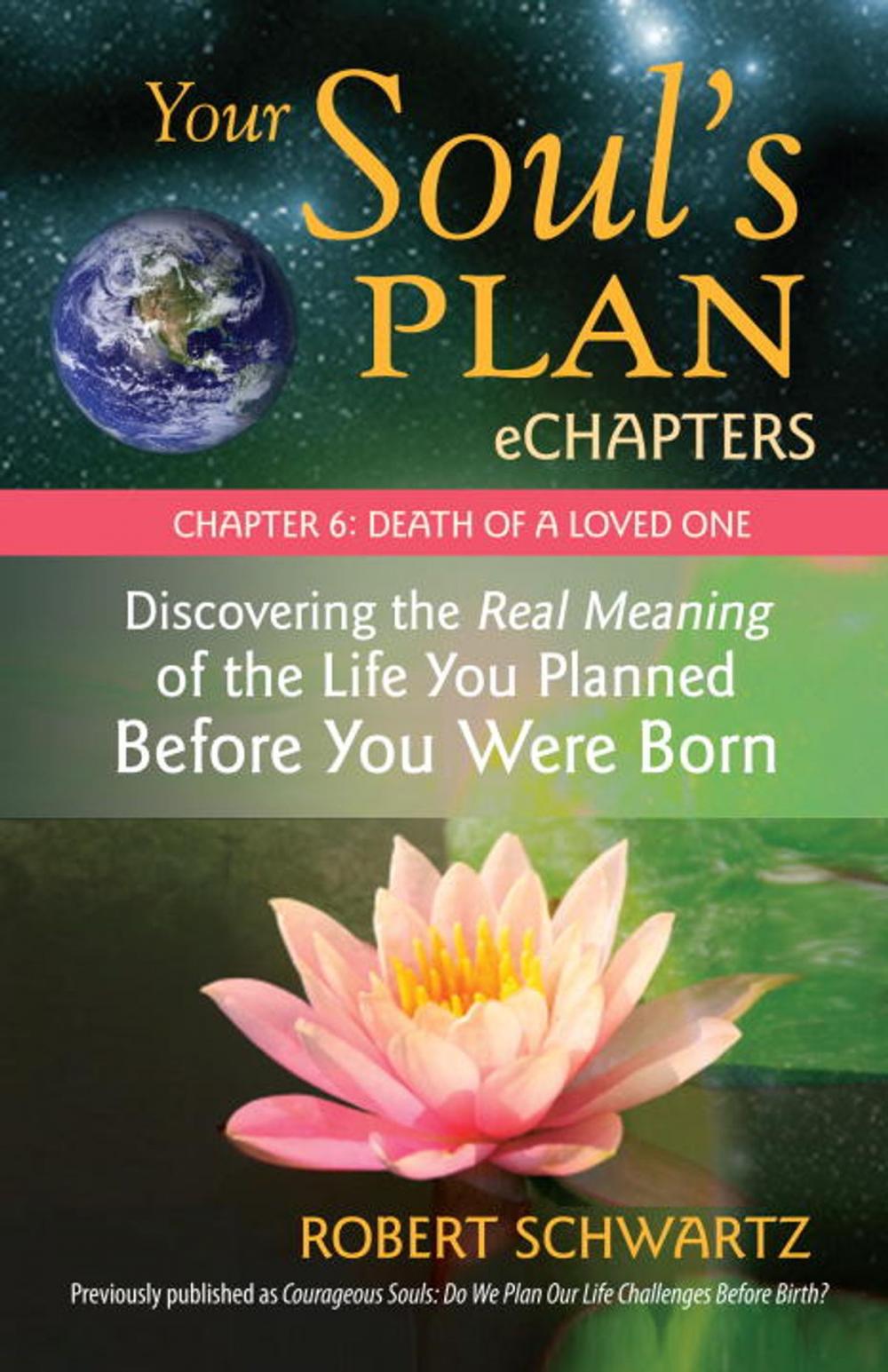 Big bigCover of Your Soul's Plan eChapters - Chapter 6: Death of a Loved One