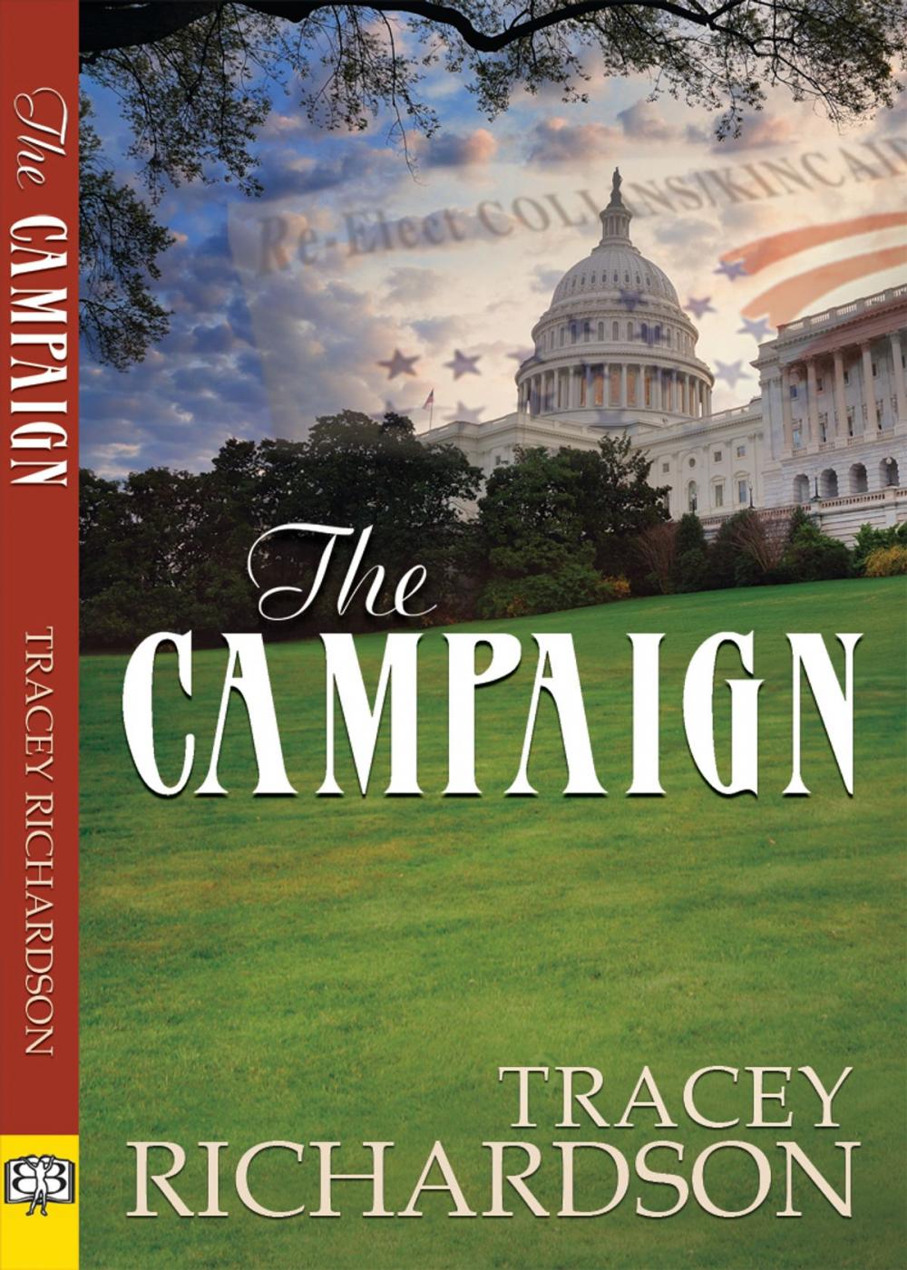 Big bigCover of The Campaign