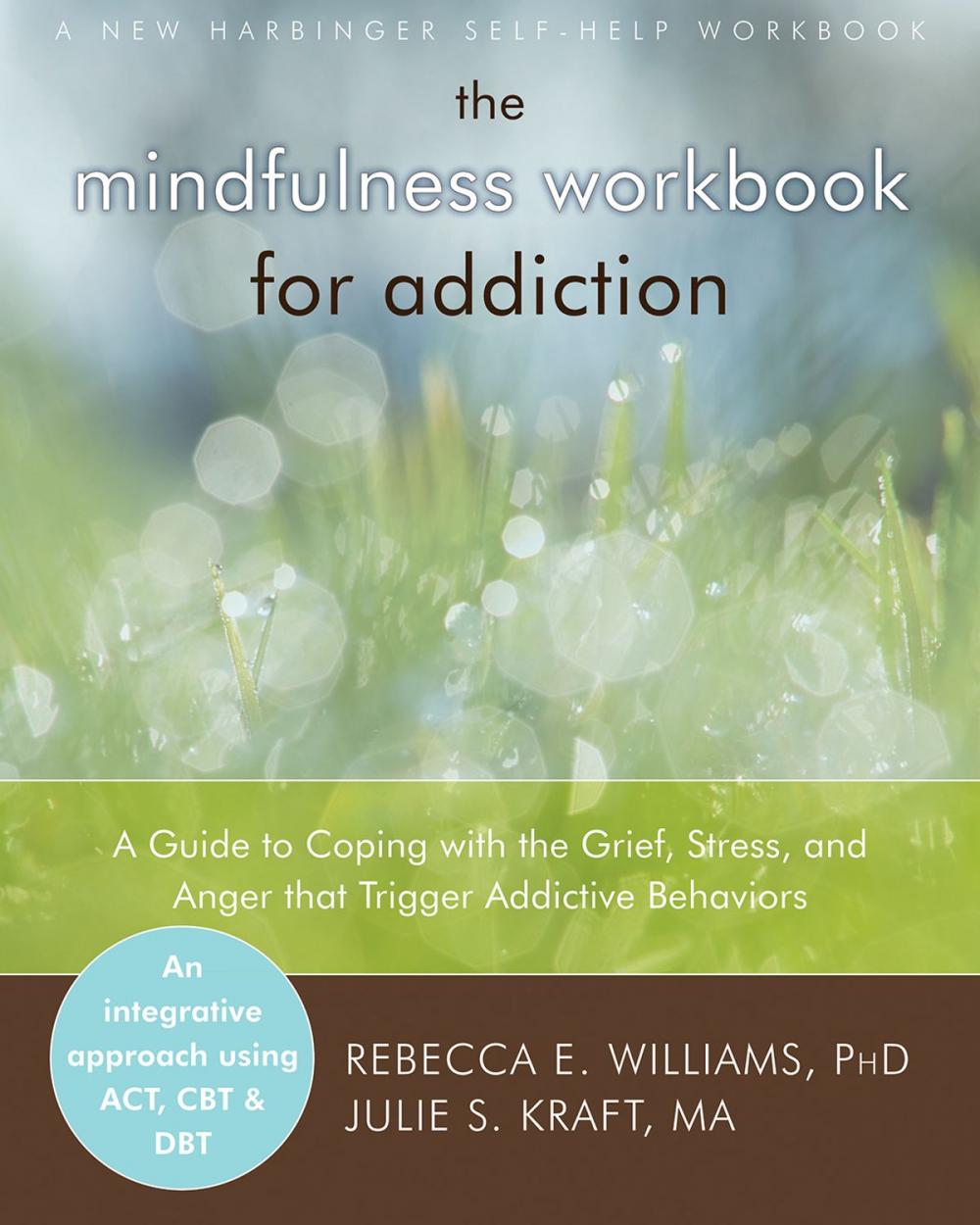 Big bigCover of The Mindfulness Workbook for Addiction