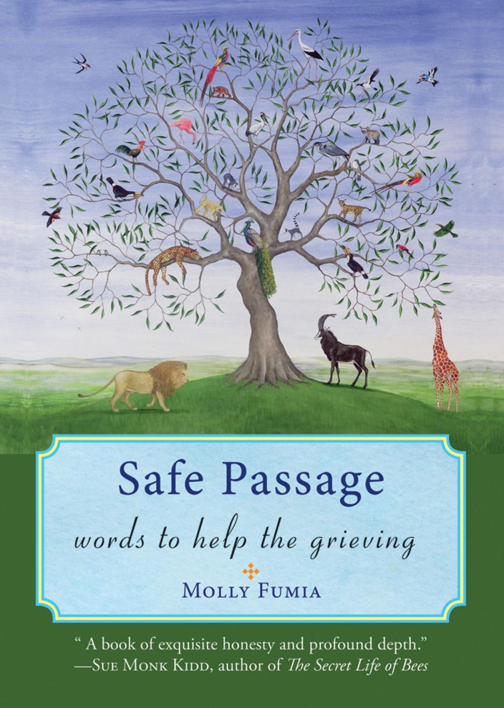 Big bigCover of Safe Passage