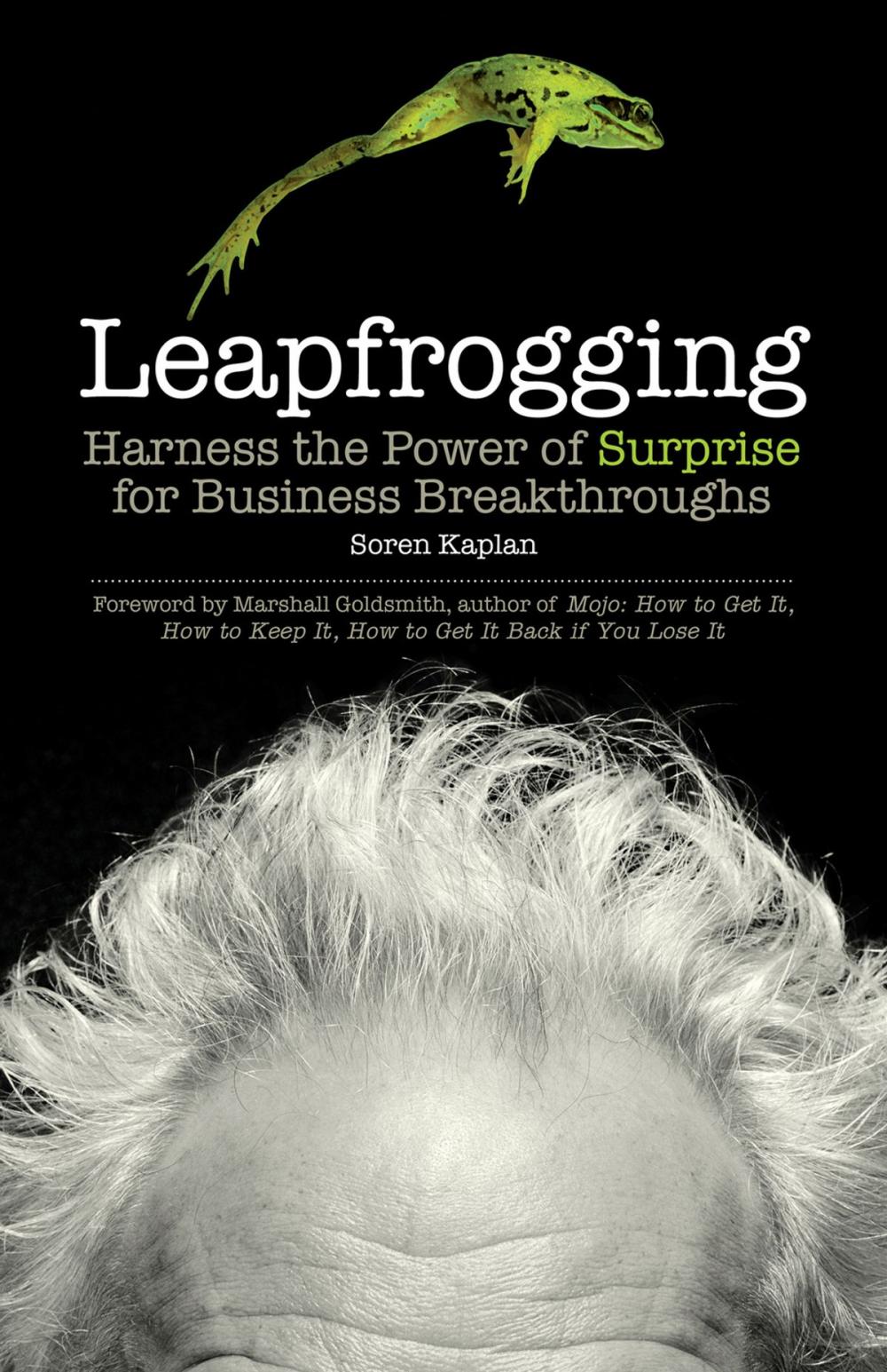 Big bigCover of Leapfrogging