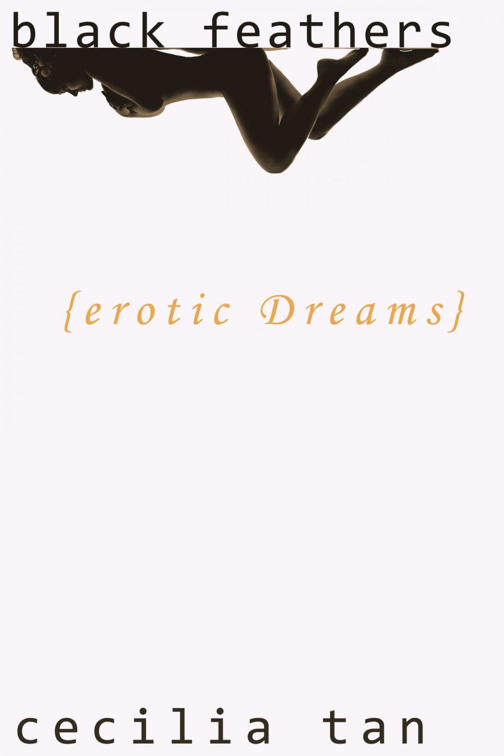 Big bigCover of Black Feathers: Erotic Dreams