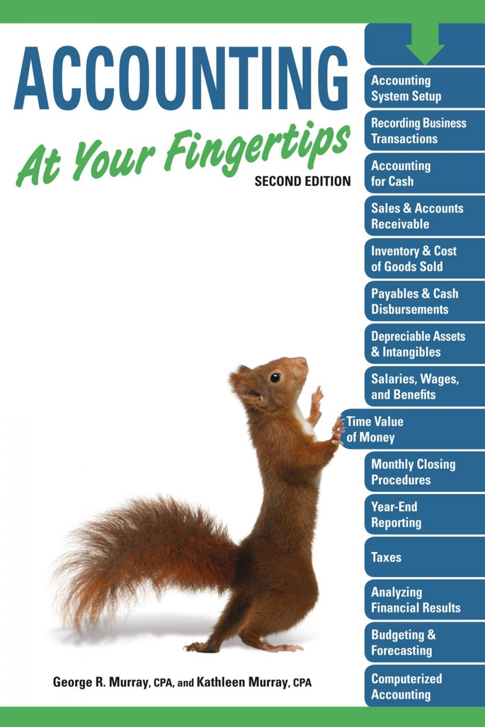 Big bigCover of Accounting At Your Fingertips, 2e