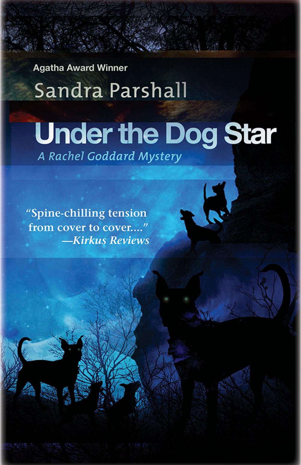 Big bigCover of Under the Dog Star