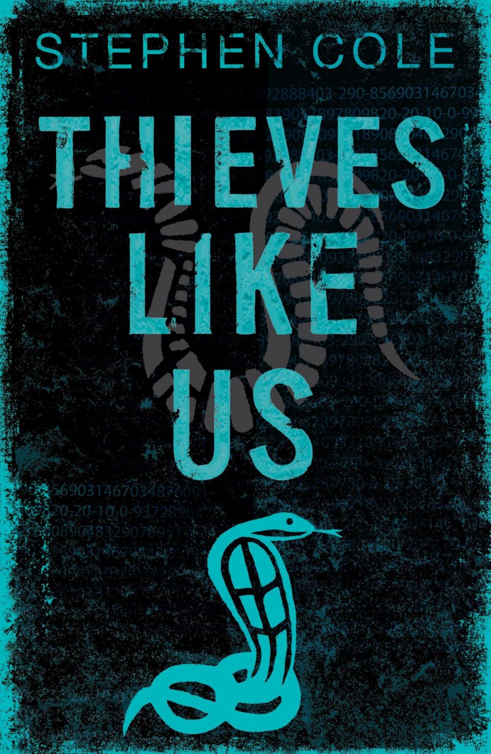 Big bigCover of Thieves Like Us