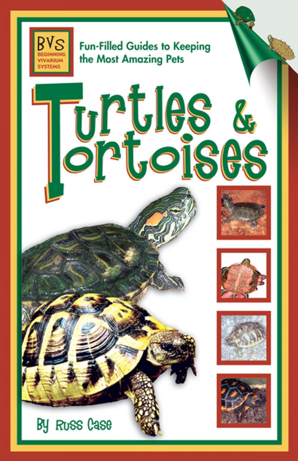 Big bigCover of Turtles & Tortoises